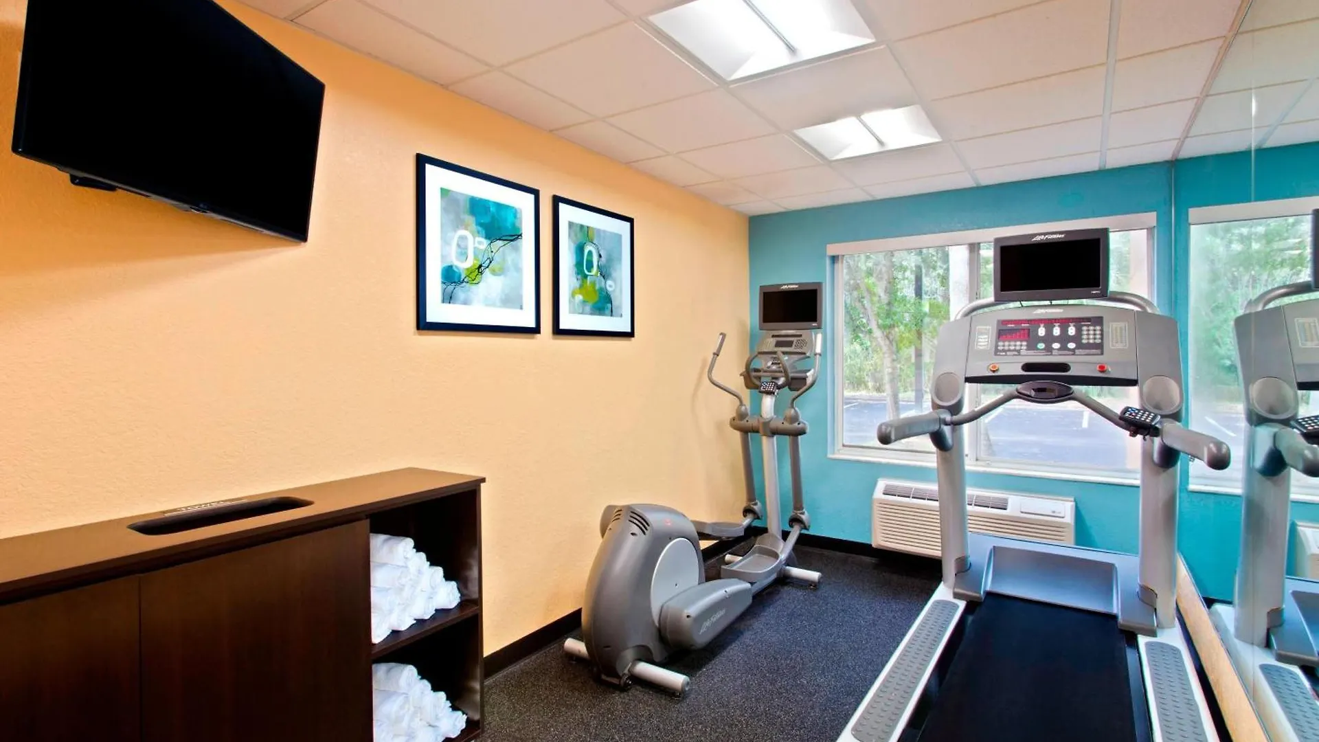 Hotel Fairfield Inn And Suites By Marriott Tampa Brandon