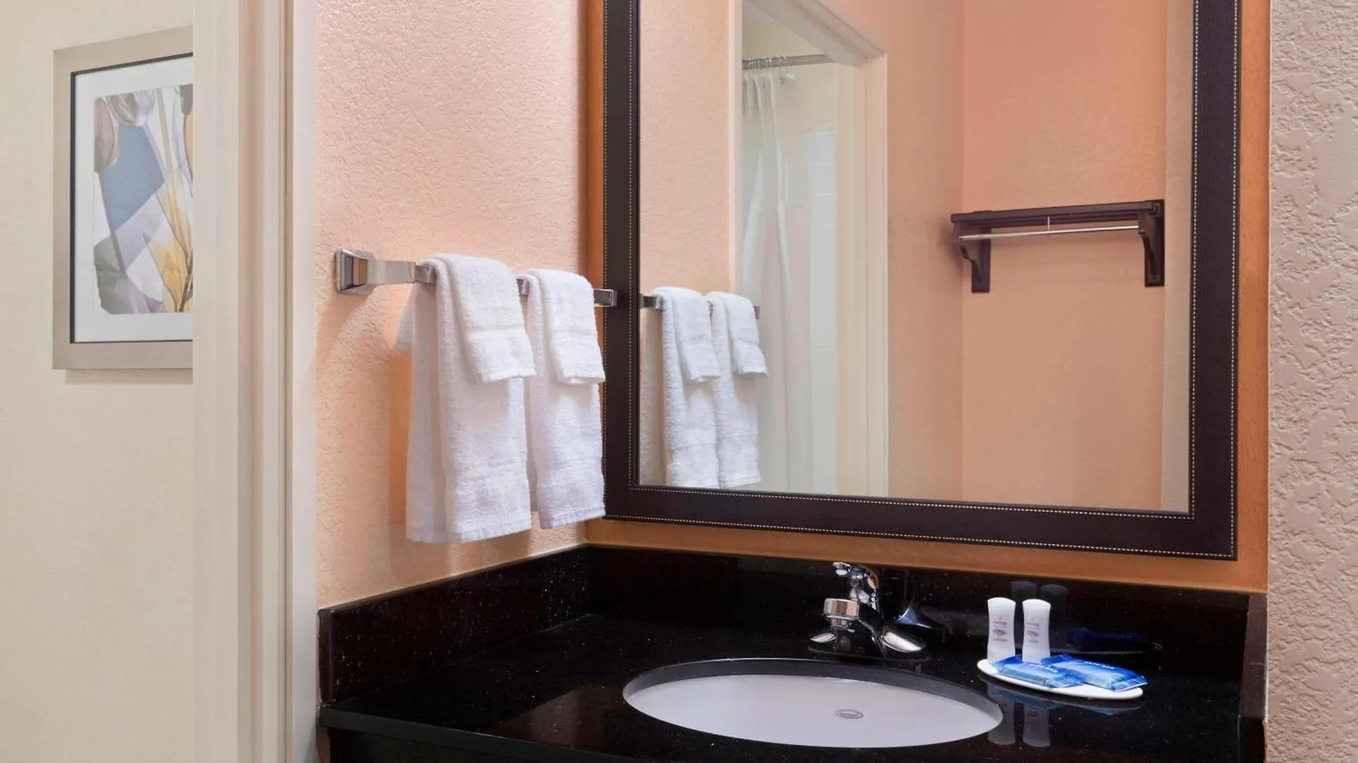 Fairfield Inn And Suites By Marriott Tampa Brandon 3*,